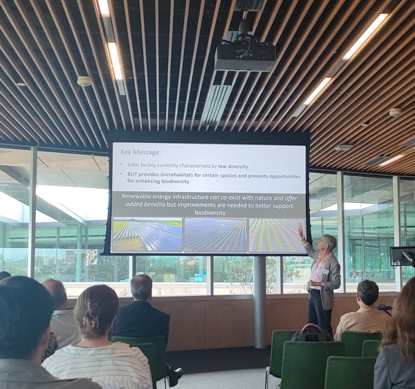 Queensland Decarb Hub Showcase
